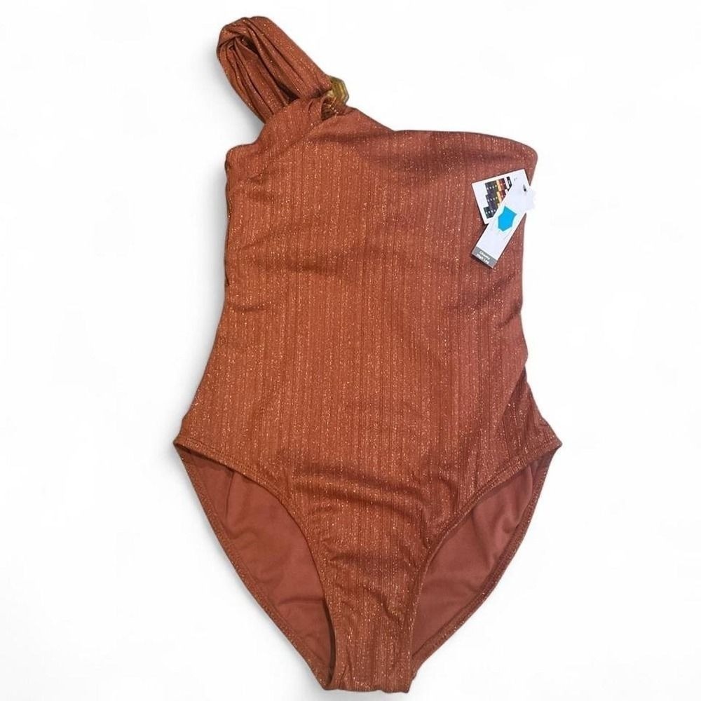 Brown One Piece Swimsuit Women's Medium Cheeky Swim Beach Coquette NWT New